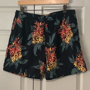 Hill City Mens Swim Trunks, Large